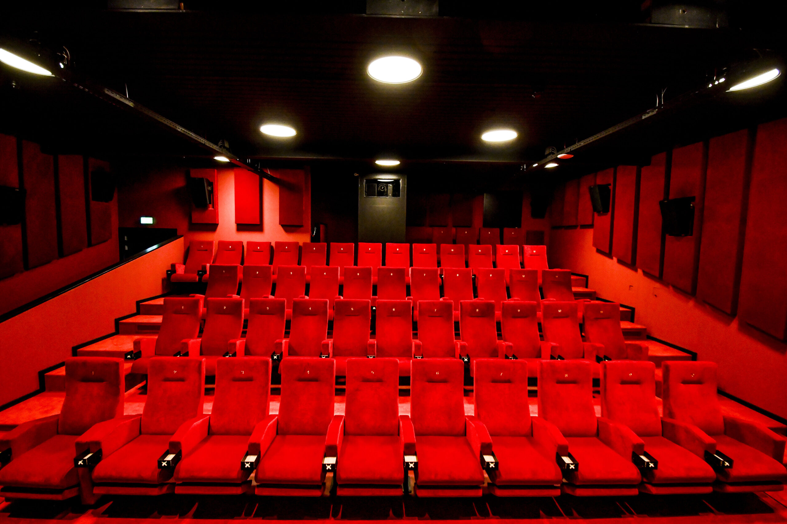 Screening venue